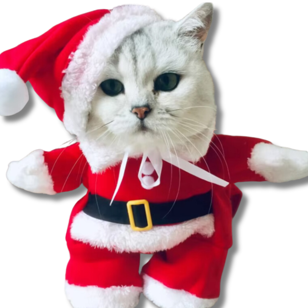 deguisement-pour-chat-pere-noel