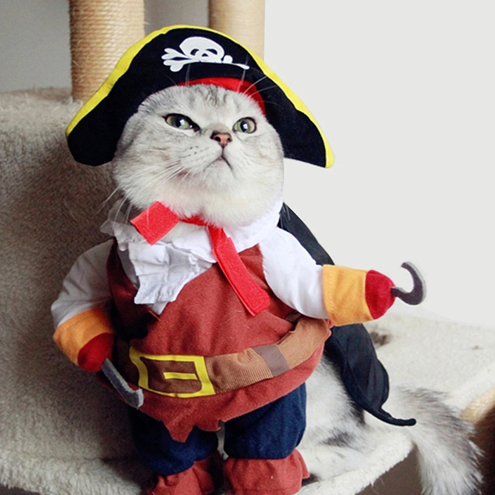 deguisement-pour-chat-pirate