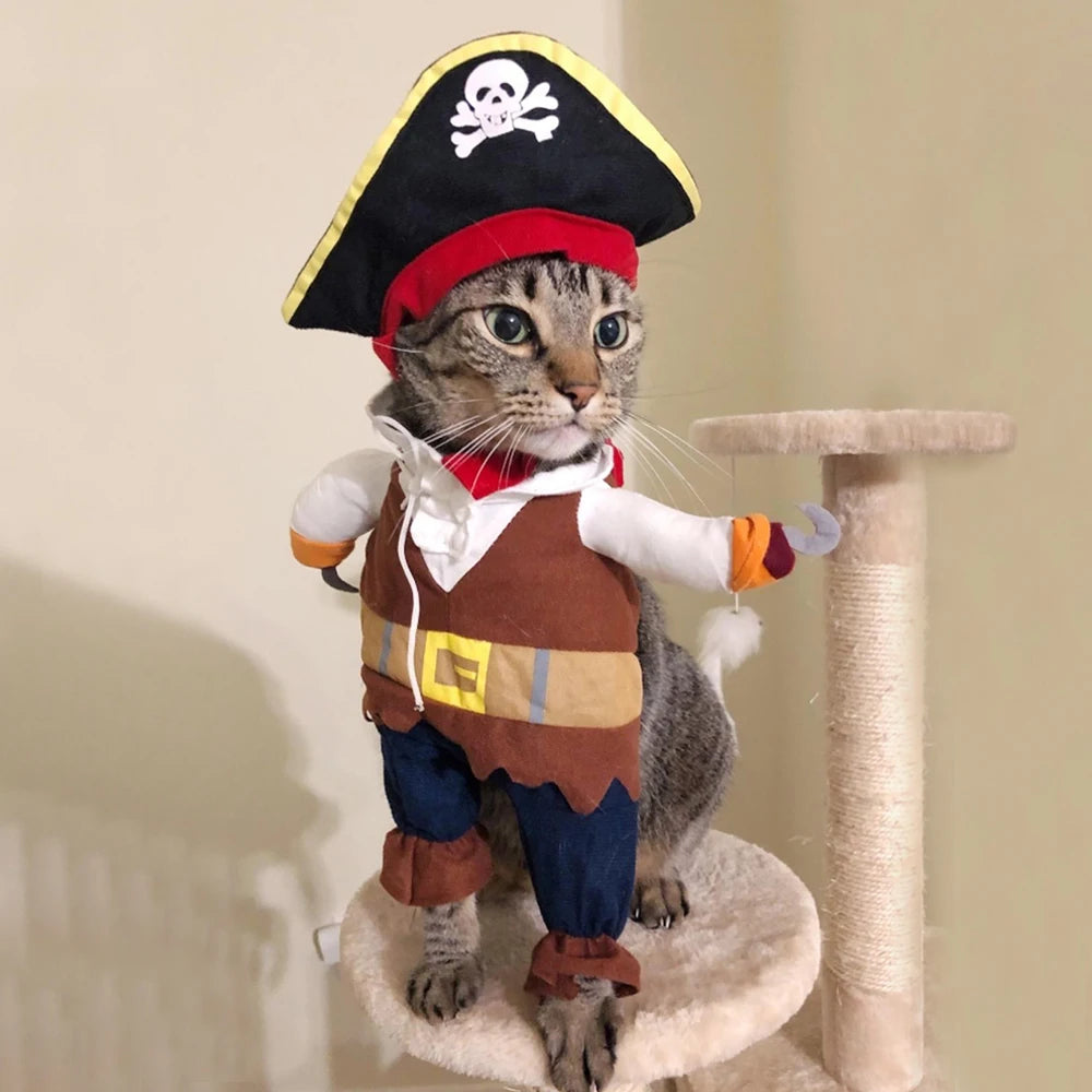 deguisement-pour-chat-pirate