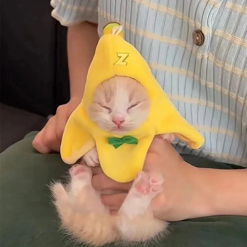 chapeau-banane-meme-chat