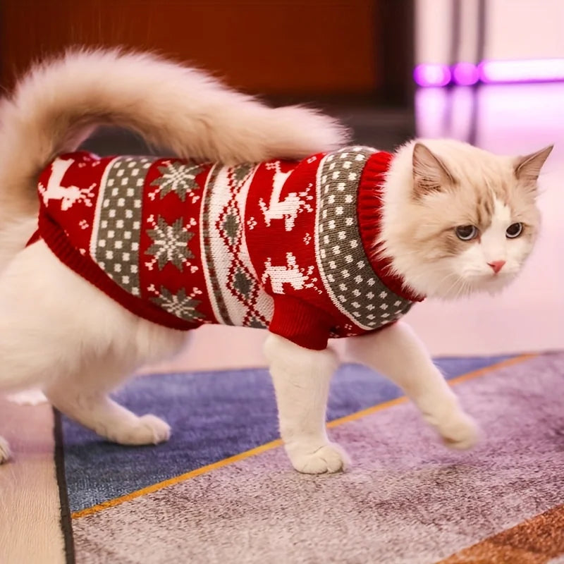 pull-pour-chat-noel-rouge