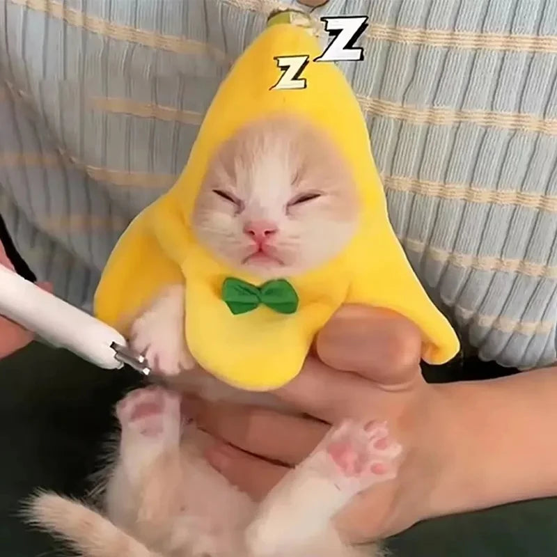 chapeau-banane-meme-chat