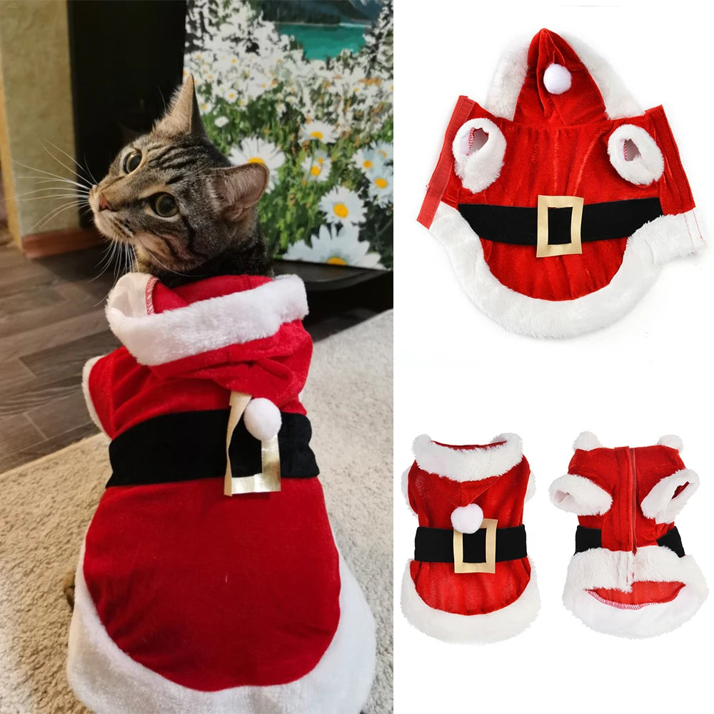 deguisement-pour-chat-de-pere-noel