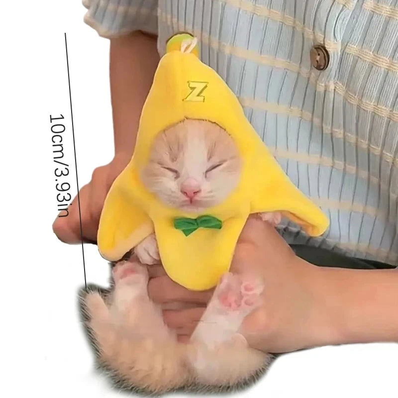 chapeau-banane-meme-chat