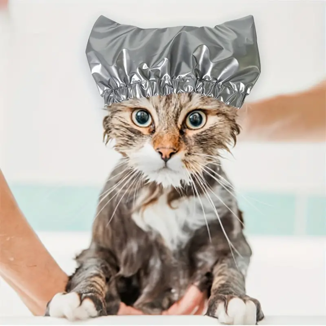 bonnet-de-bain-pour-chat-argent