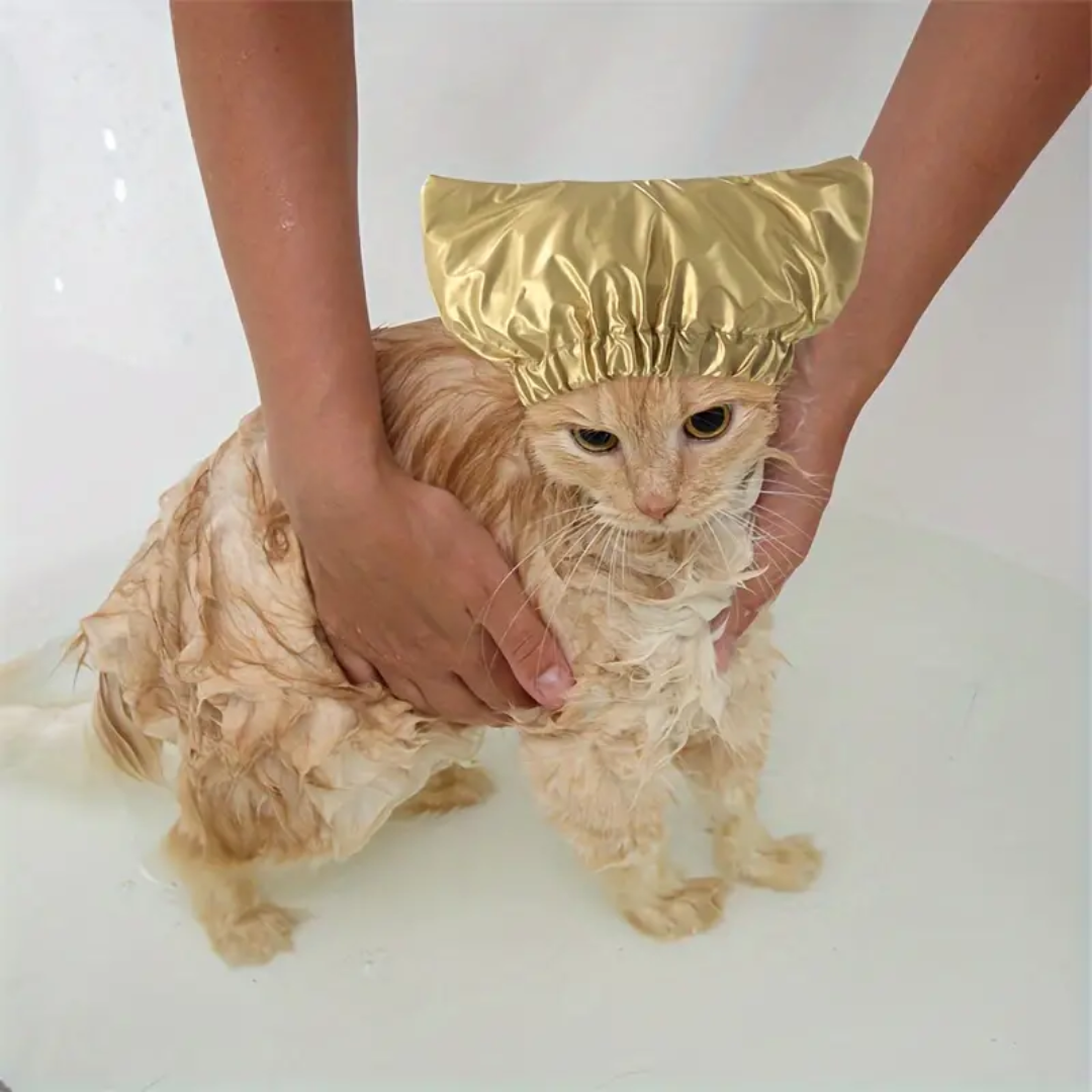 bonnet-de-bain-pour-chat-or