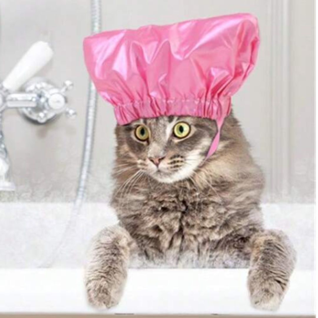 bonnet-de-bain-pour-chat-rose