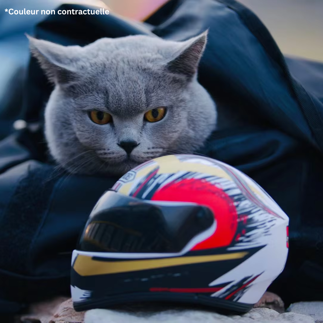 casque-de-moto-pour-chat-blanc