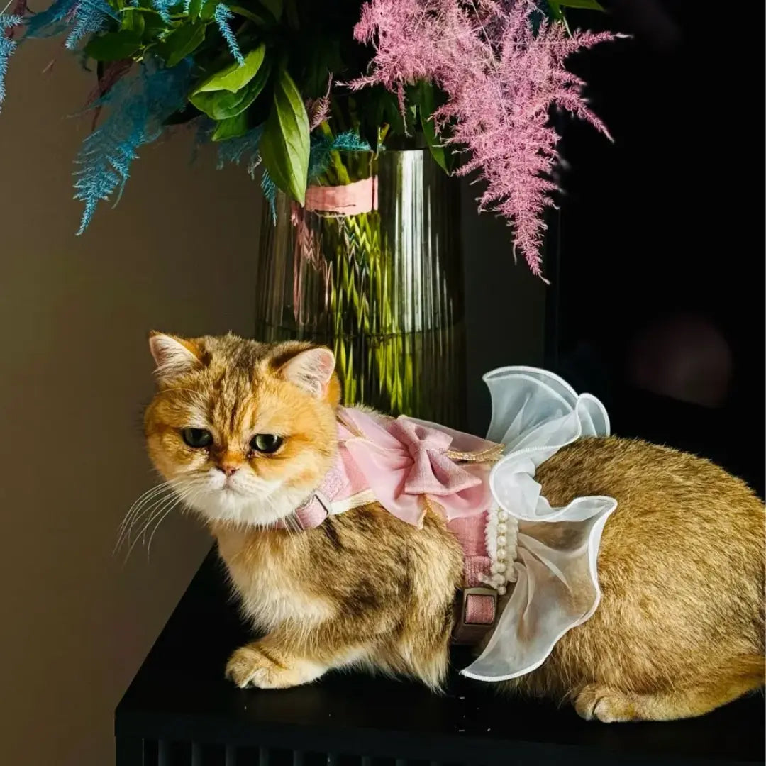 chat-harnais-princesse-en-nylon-rose