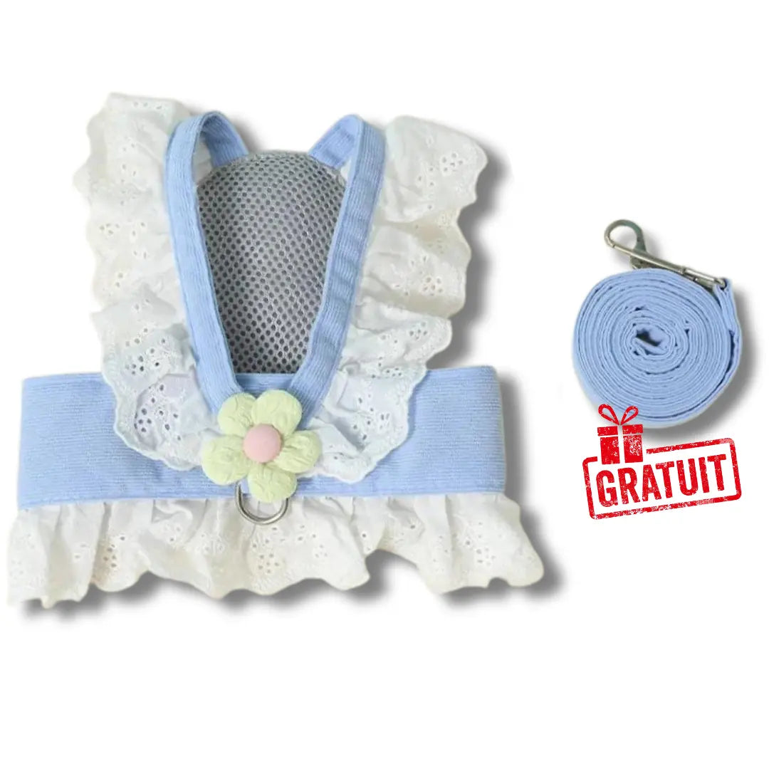 chat-harnais-robe-dete-bleu