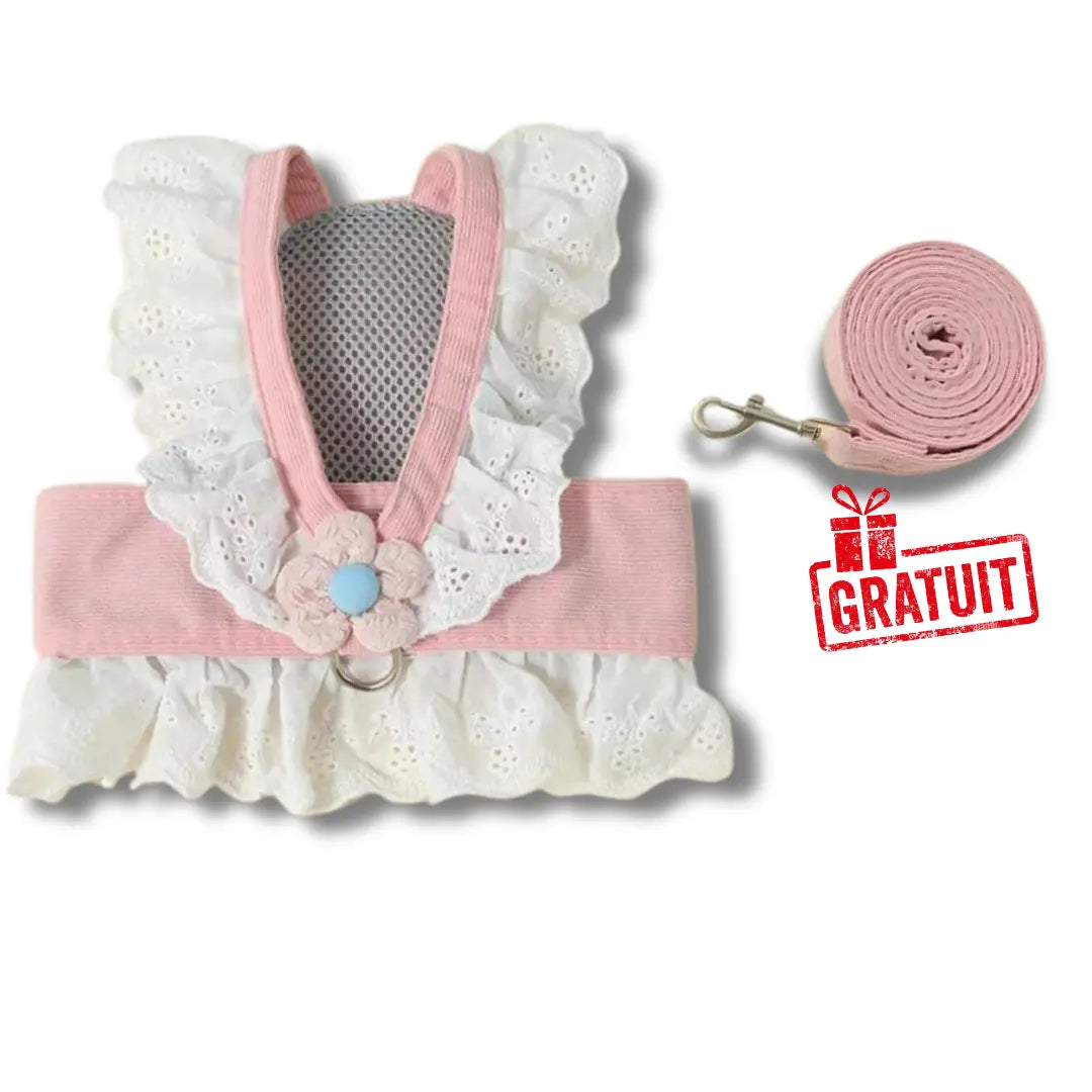 chat-harnais-robe-dete-rose