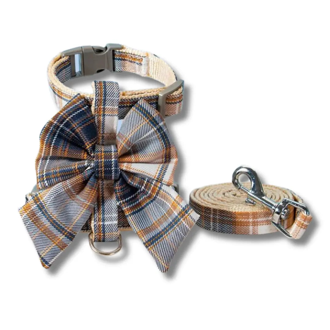 chat-harnais-tartan-orange