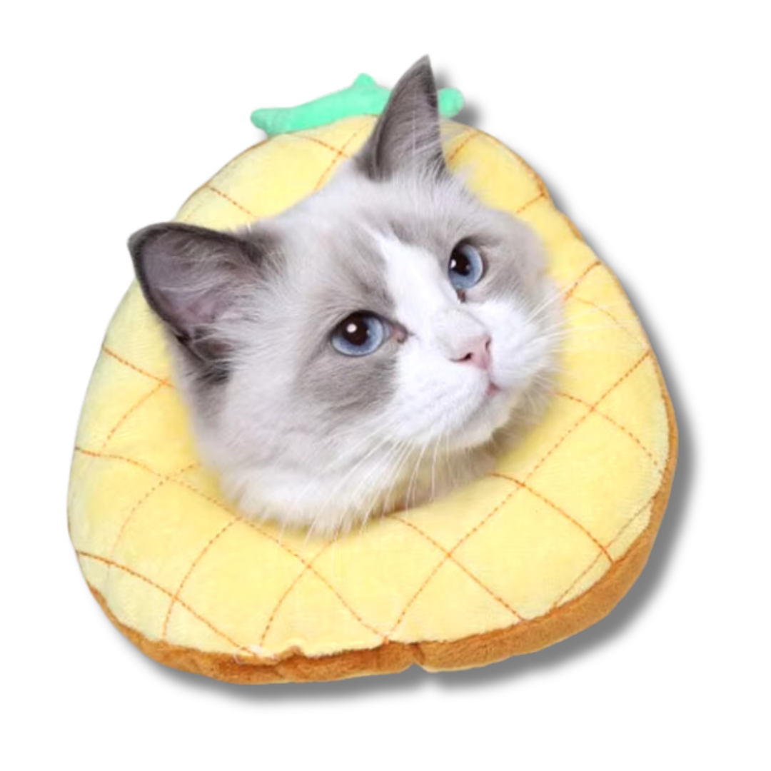 collerette-pour-chat-ananas-ajustable