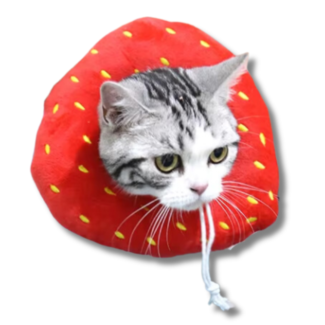 collerette-pour-chat-fraise-ajustable