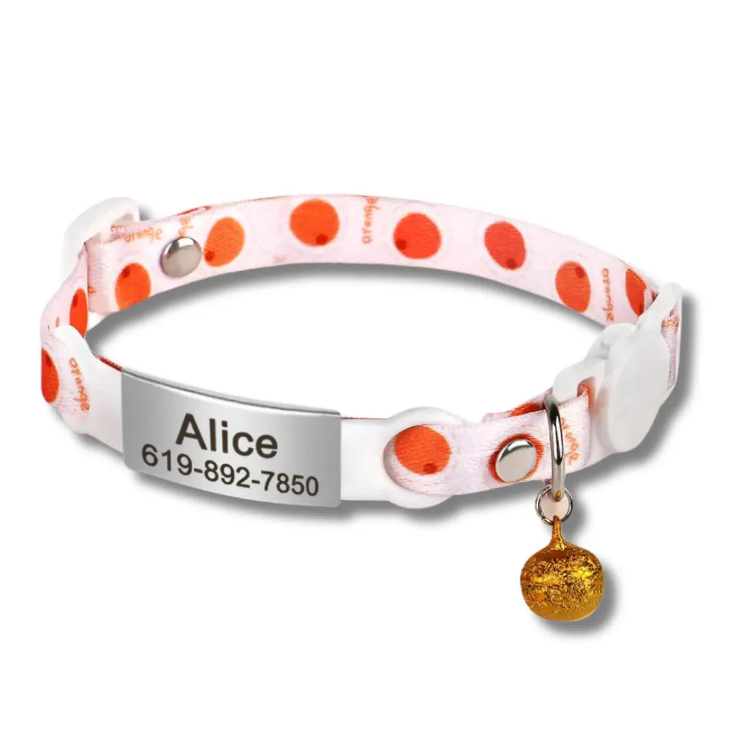 Collier Anti Étrangement Pour Chaton - Orange Harnais Chat