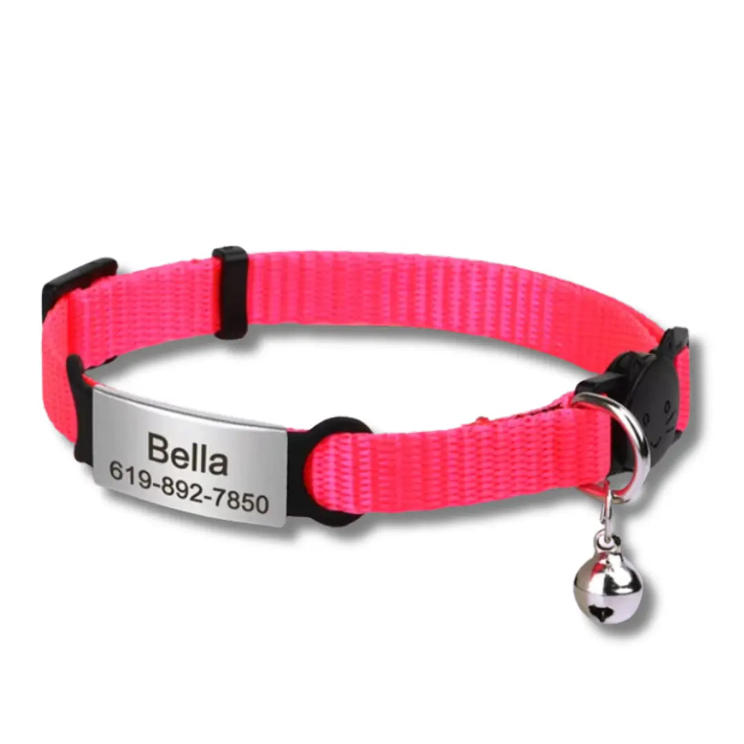 Collier Anti Étrangement Pour Chaton - Rose Fluo Harnais Chat