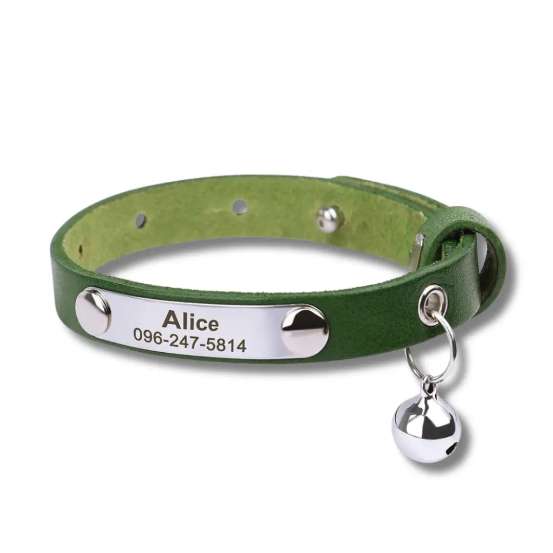 Collier Chat Personnalisé - Vert Harnais Chat