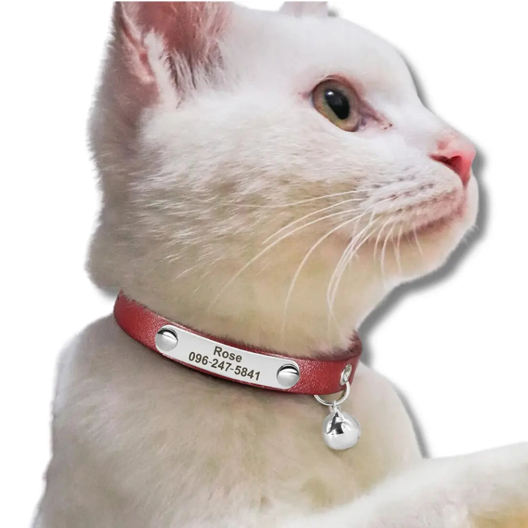 Collier Chat Personnalisé - Rose Harnais Chat