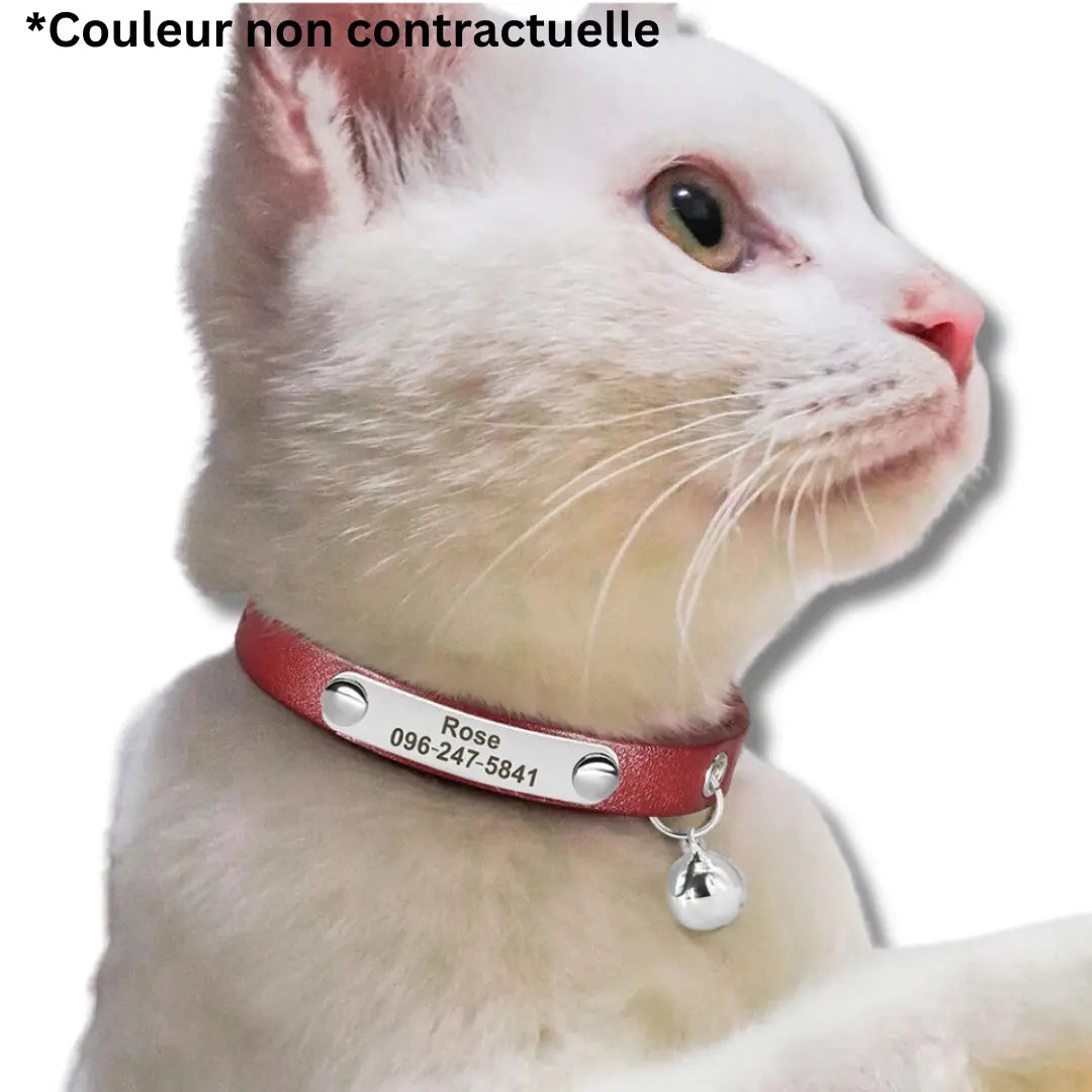 Collier Chat Personnalisé - Vert Harnais Chat