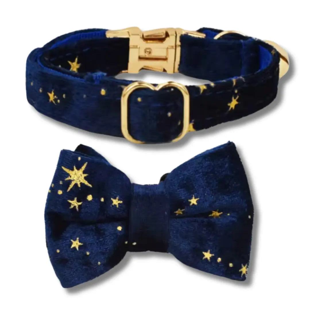 Collier Pour Chat Avec Noeud Personnalisable - Bleu & Jaune Harnais Chat