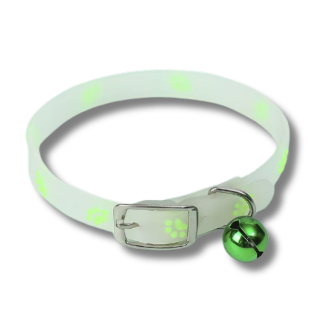 collier-pour-chat-lumineux-vert