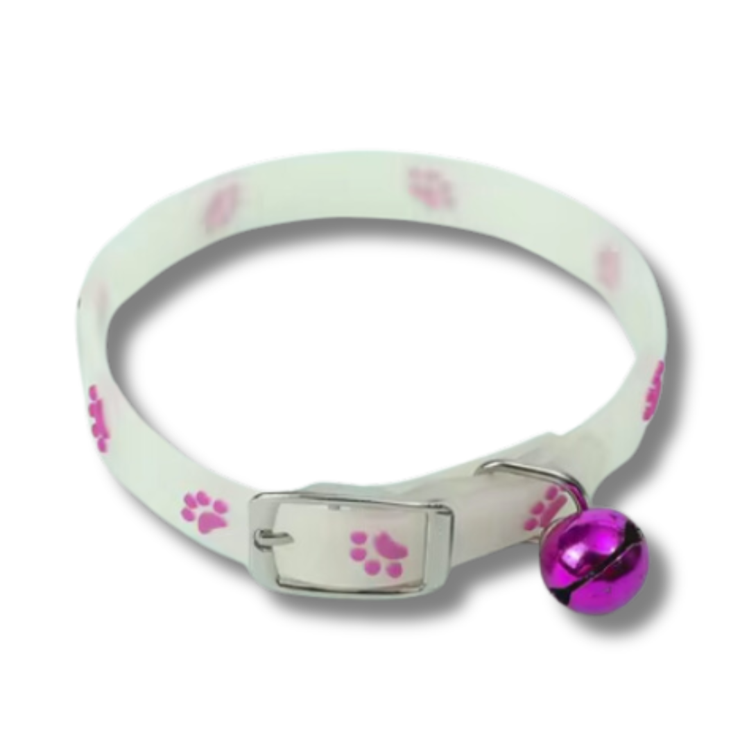 collier-pour-chat-lumineux-violet