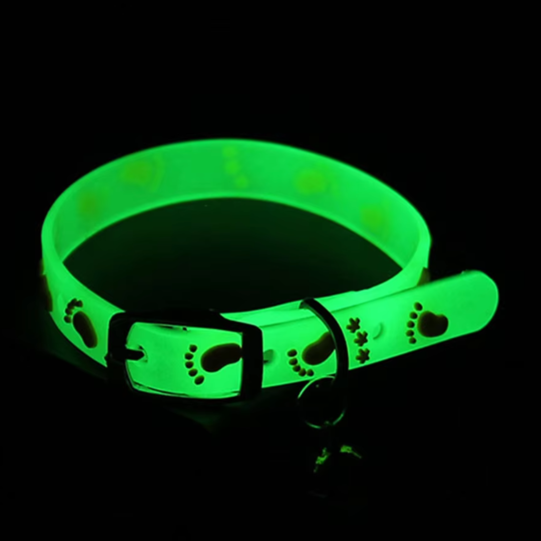 collier-pour-chat-lumineux-vert