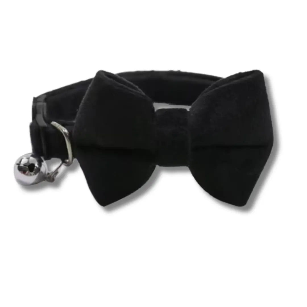 Collier Pour Chat Noeud Papillon - Noir Harnais Chat