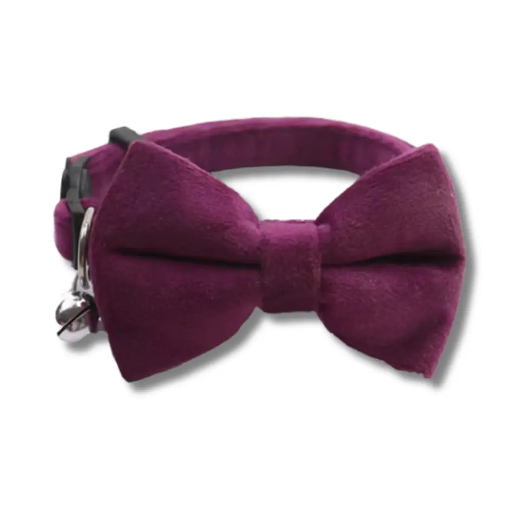 Collier Pour Chat Noeud Papillon - Violet Harnais Chat