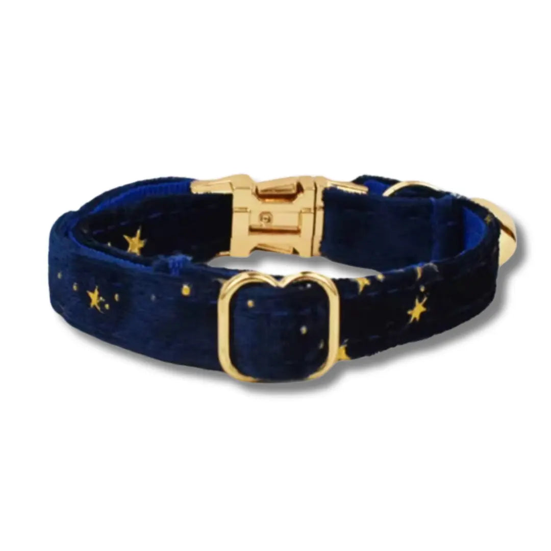 Collier Pour Chat Personnalisable - Bleu & Jaune Harnais Chat