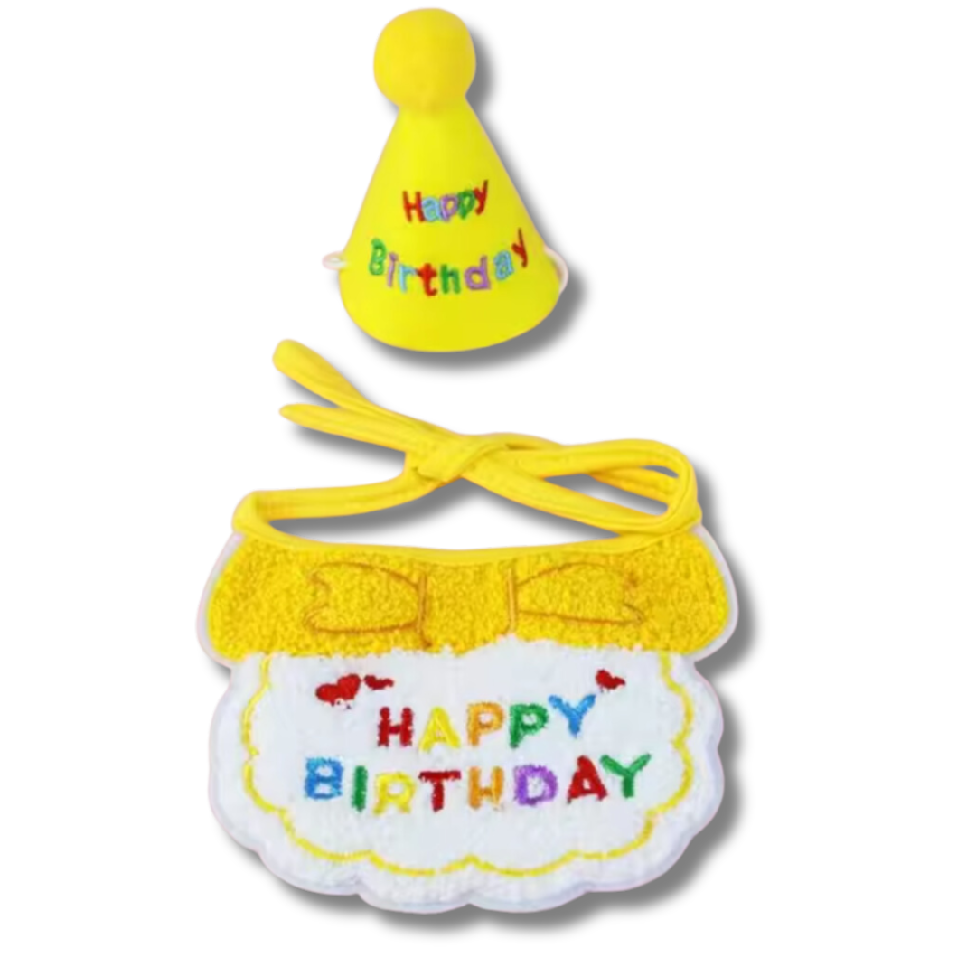 deguisement-danniversaire-pour-chat-jaune