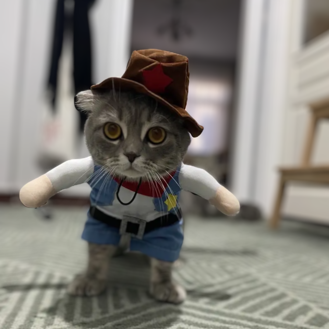 deguisement-halloween-pour-chat-cowboy