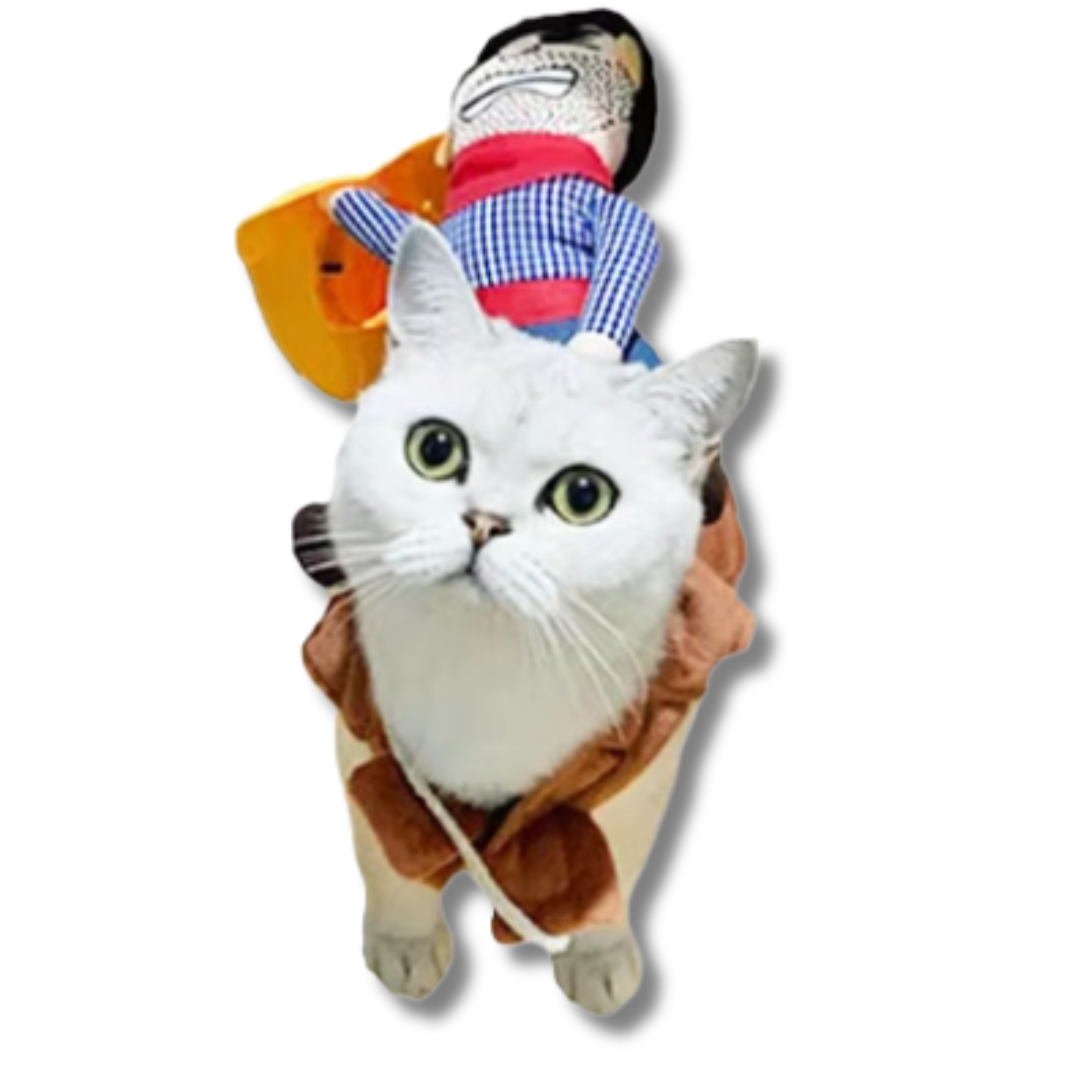 deguisement-halloween-pour-chat-petit-cowboy