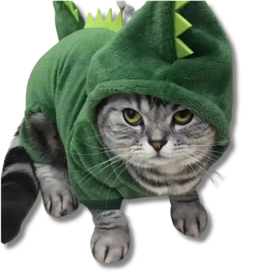 Déguisement Pour Chat - Dinosaure Harnais Chat