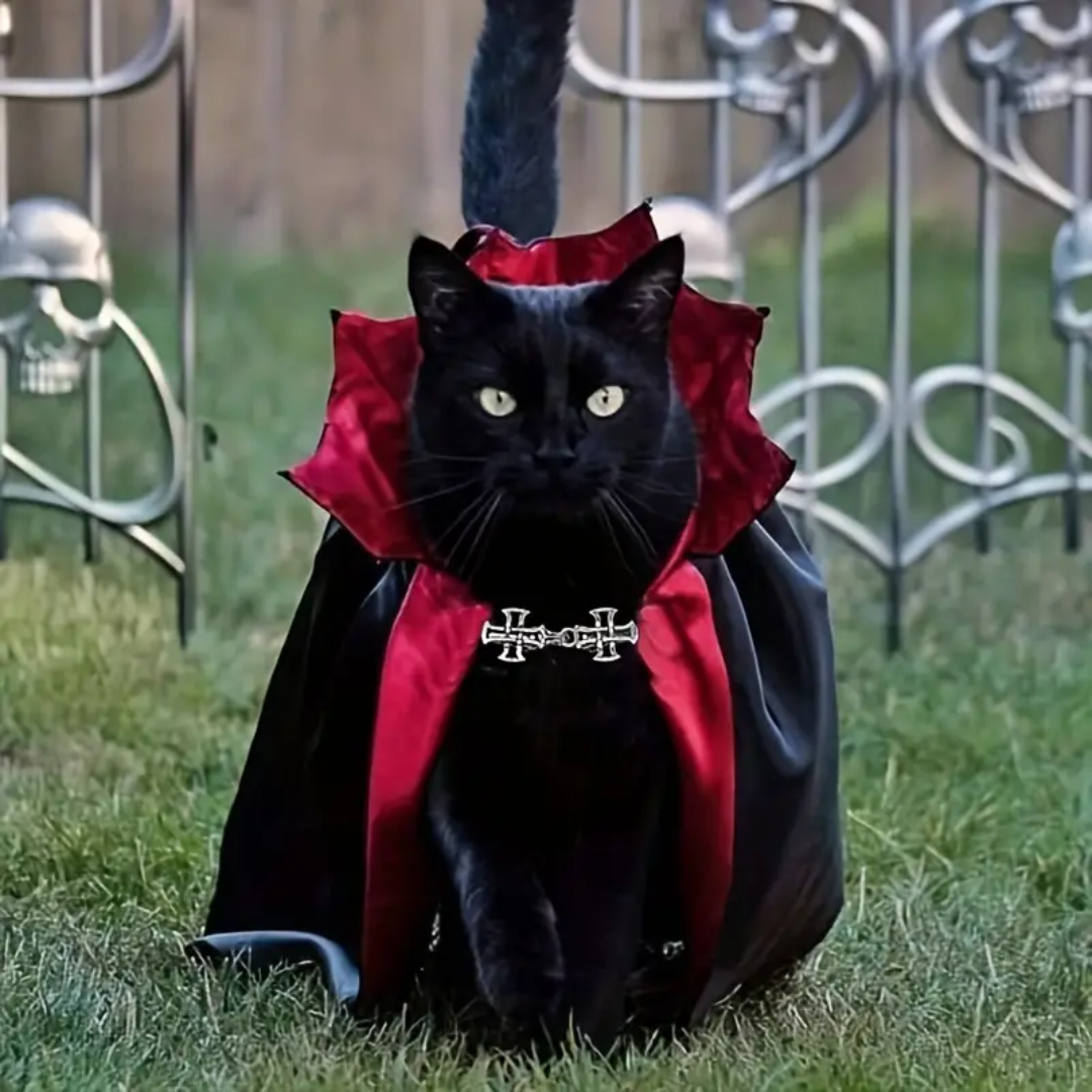 deguisement-pour-chat-halloween-vampire