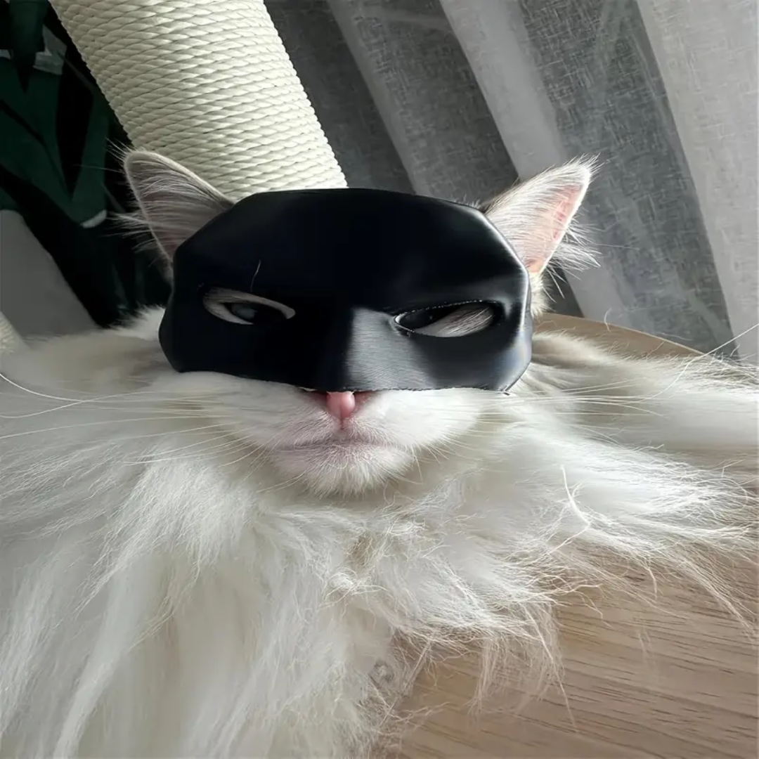 deguisement-pour-chat-masque-batman