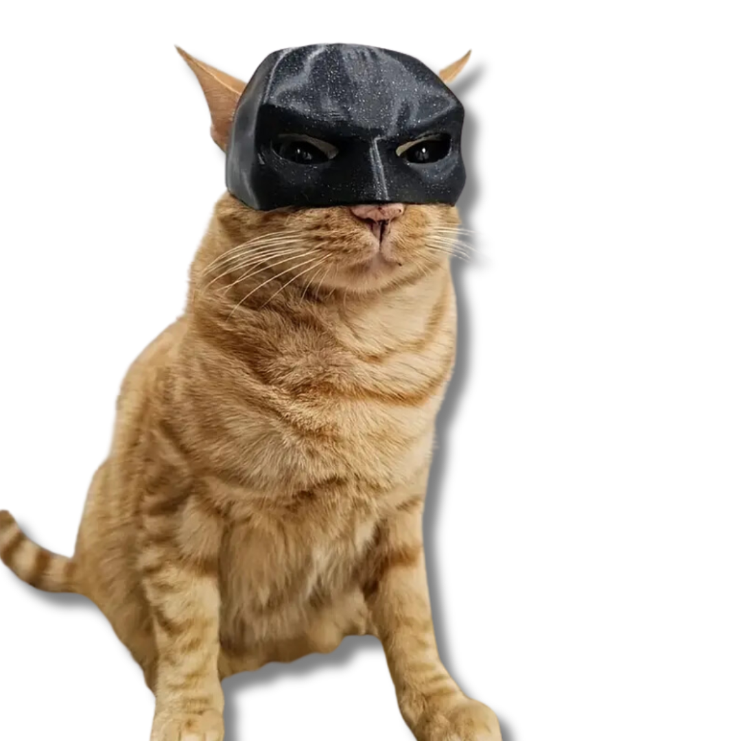 deguisement-pour-chat-masque-batman