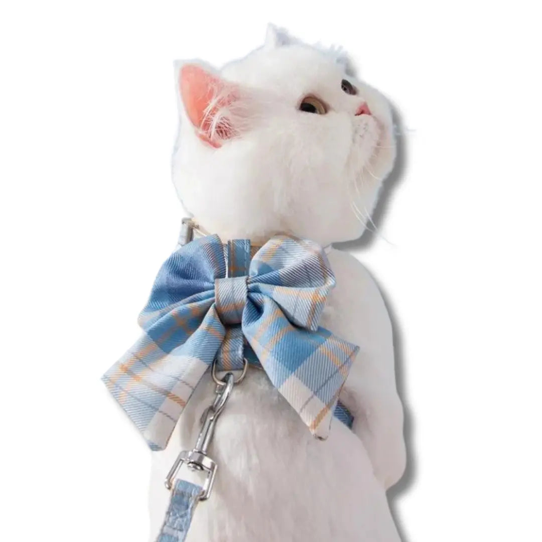 harnais-chaton-tartan-bleu