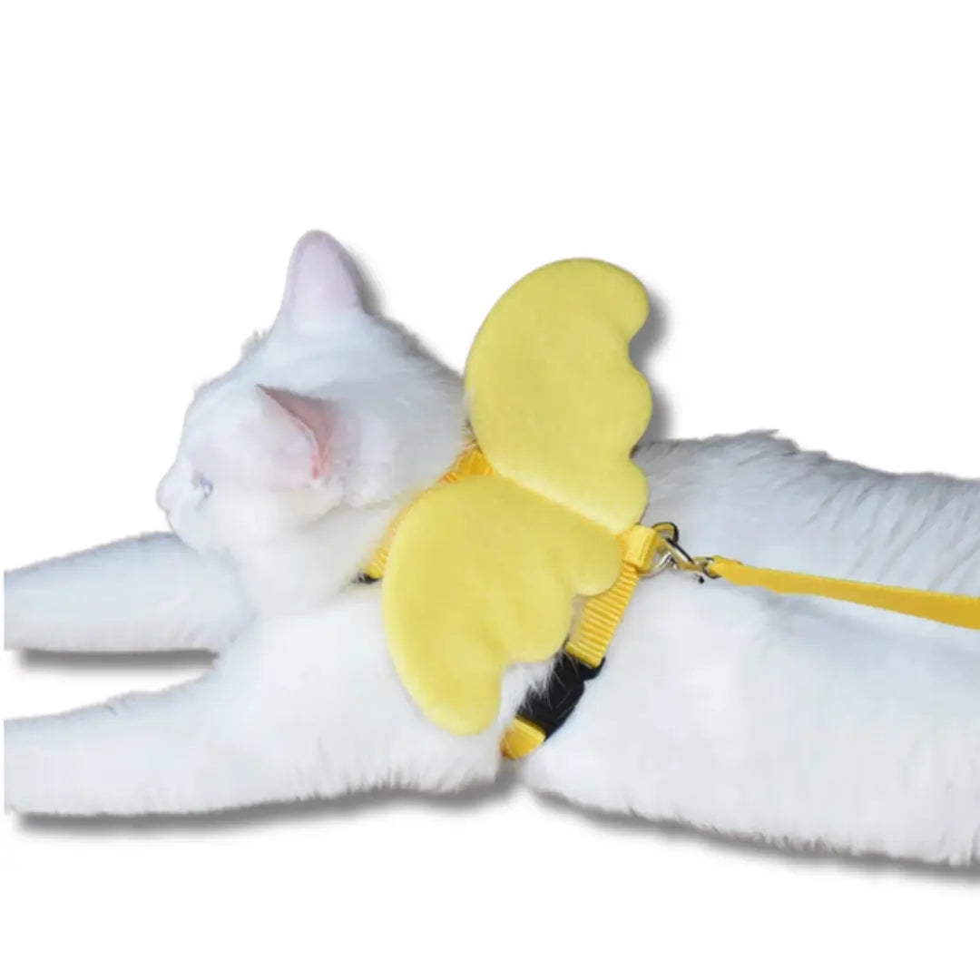 harnais-et-laisse-pour-chat-ailes-dange-jaune