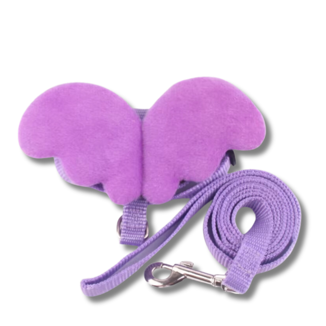 harnais-et-laisse-pour-chat-ailes-dange-violet