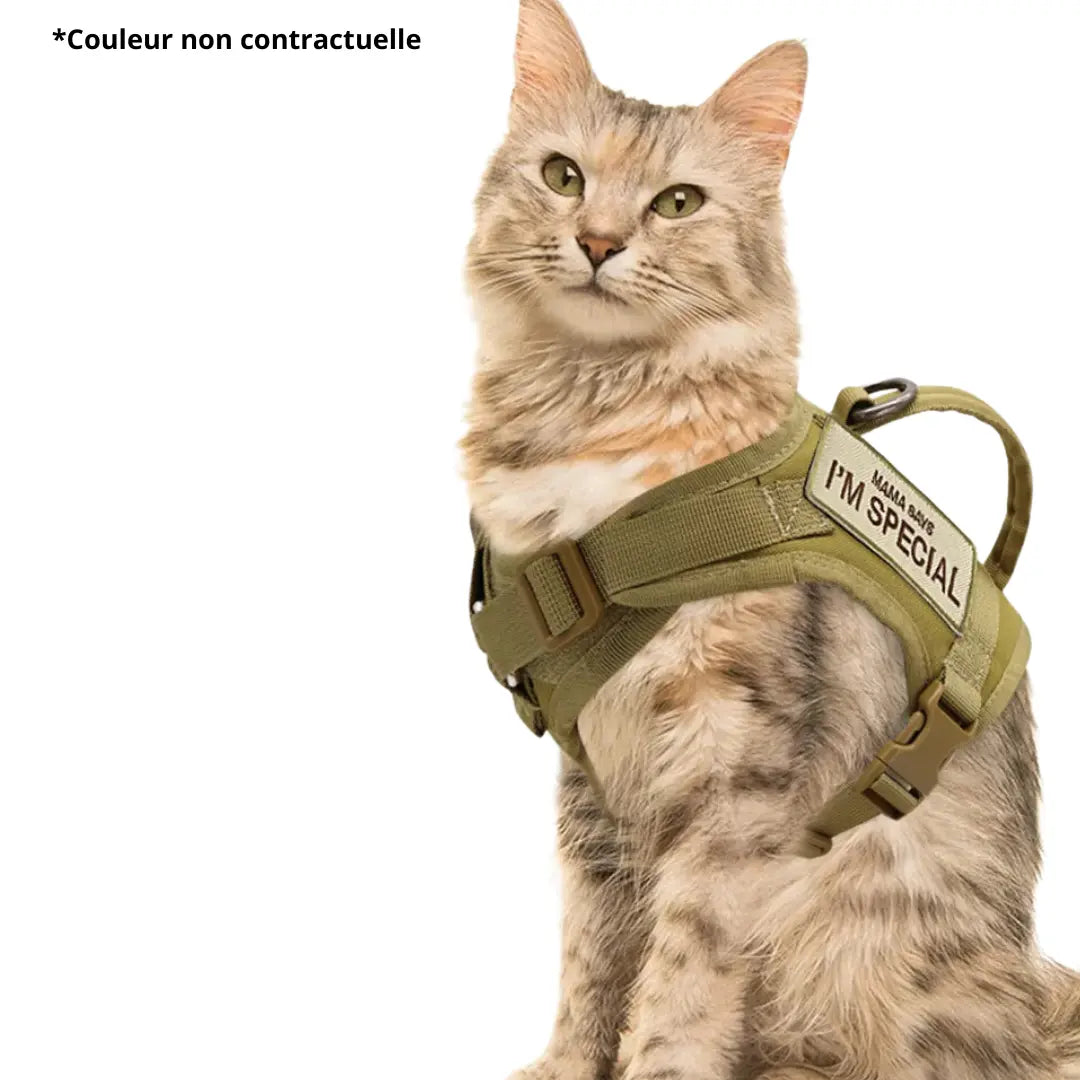 laisse-et-harnais-pour-chat-reglable-vert