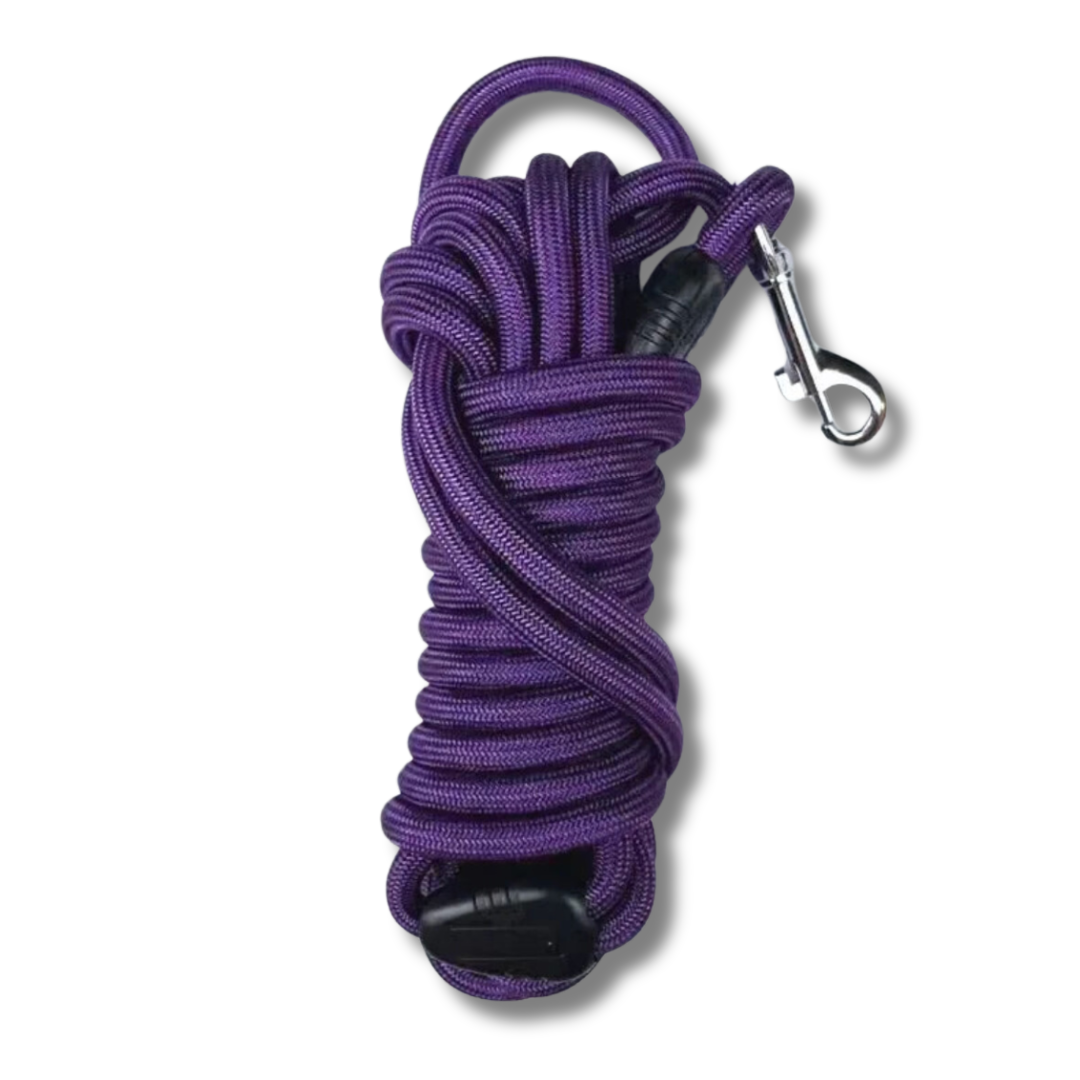 laisse-extensible-pour-chat-violet